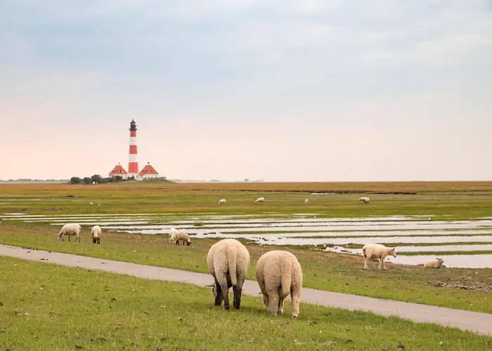 Ferienwohnung, St Peter-ording شقة *